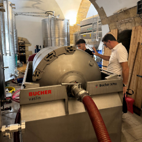 Domus Hortae Verarbeitung